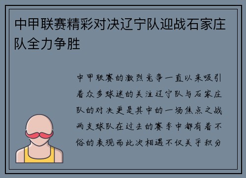 中甲联赛精彩对决辽宁队迎战石家庄队全力争胜
